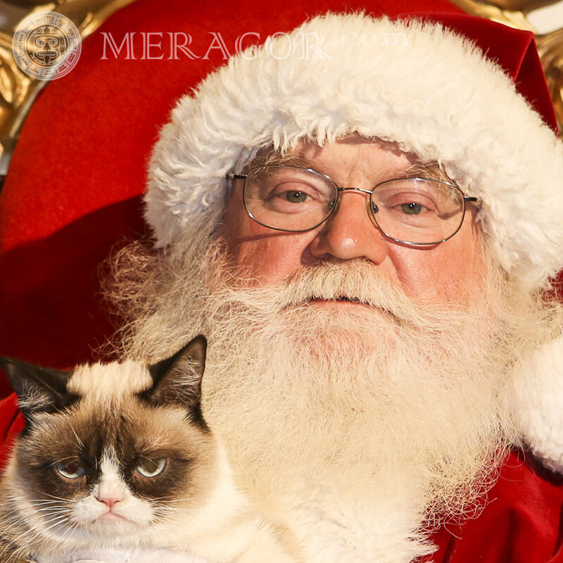 Foto de Papá Noel en el avatar de TikTok Papá Noel Para el año nuevo Fiesta