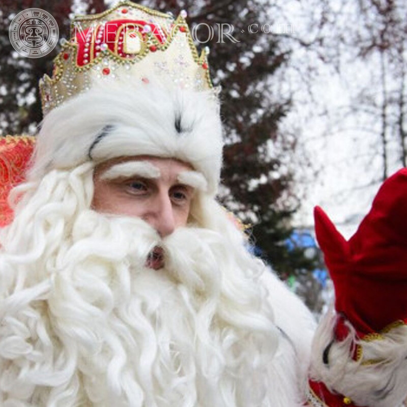 Santa Claus avatar download Santa Claus New Year Holidays