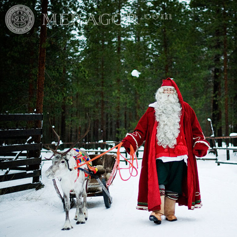 Сани Санти Клауса фото Дід-Мороз На новий рік Свято