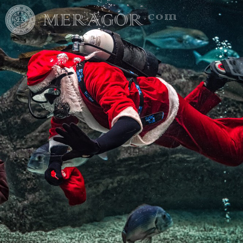 Foto de portada divertida de Santa Claus Papá Noel Para el año nuevo Fiesta