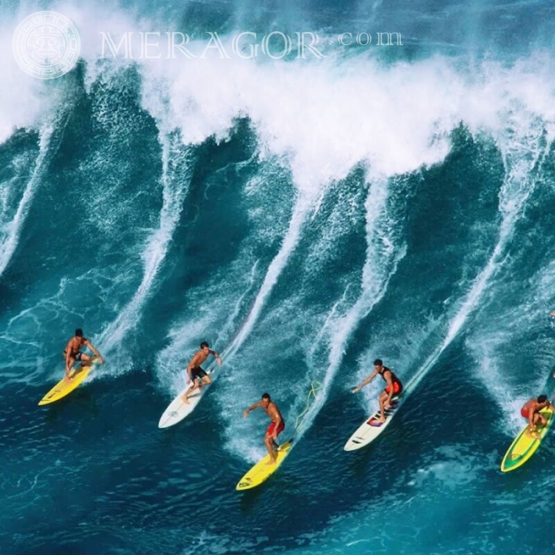 Surfar na foto das ondas para baixar a imagem do seu perfil Surf, natação No mar Desporto