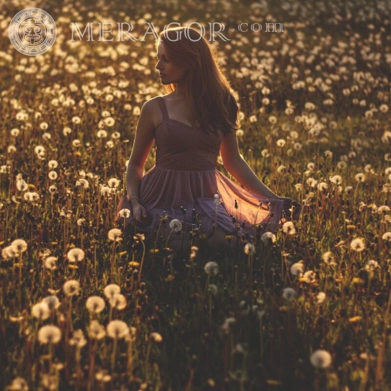 Photo d'une fille dans un champ sur le téléchargement de l'avatar VK Les filles Européens Ukrainiens En robe