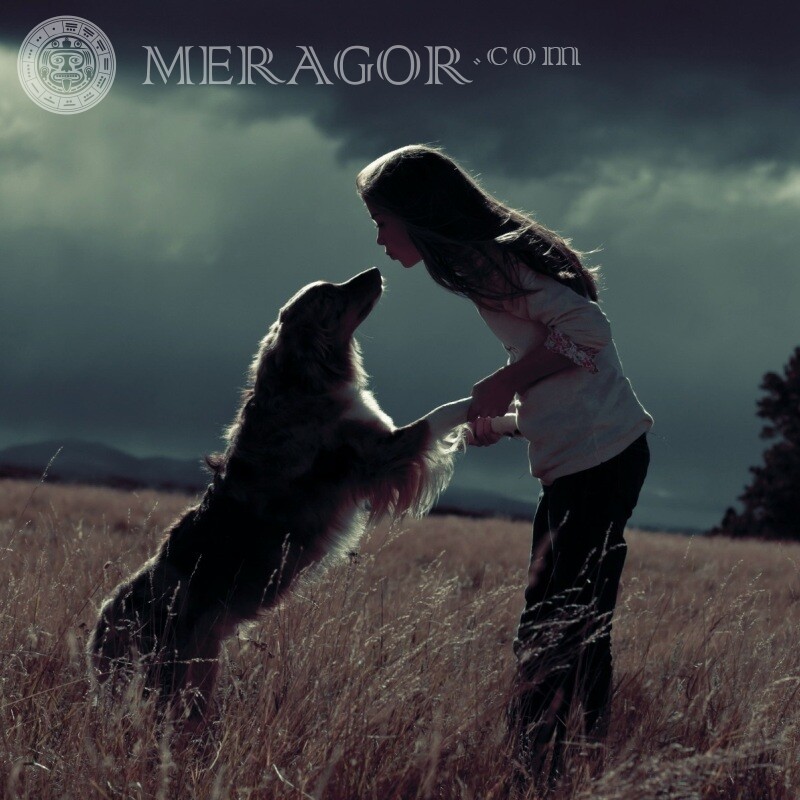 Фото красивой девочки с собакой скачать Собаки Девочки Осенние С длинными волосами