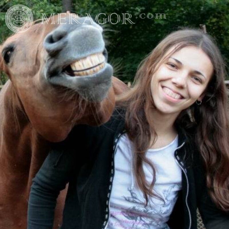Смешная фотка девушки на аву скачать Смешные Девушки Лошади