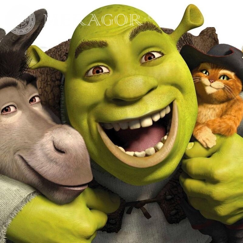 Shrek sur avatar Dessin animé