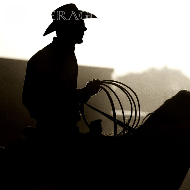 Cowboy auf einem Pferd mit einem Lassofoto Silhouette