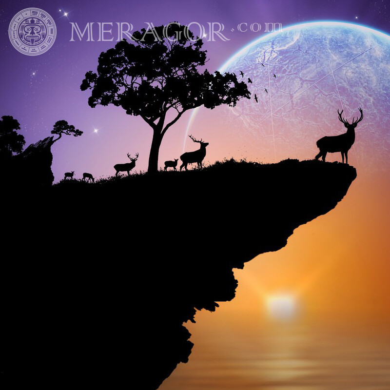 A herd of deer on the edge for avatar Deer Nature