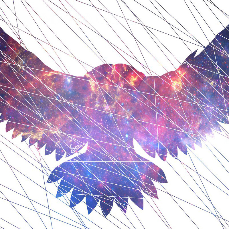 Cosmic sky in the shape of a bird for profile Birds