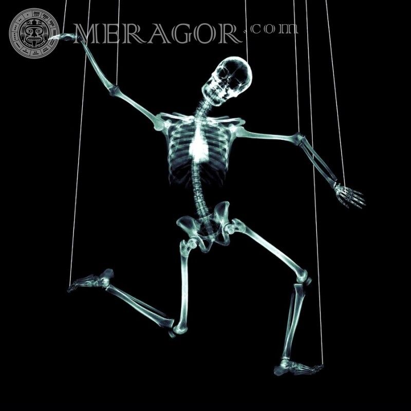Танцующий скелет на аву Гумор