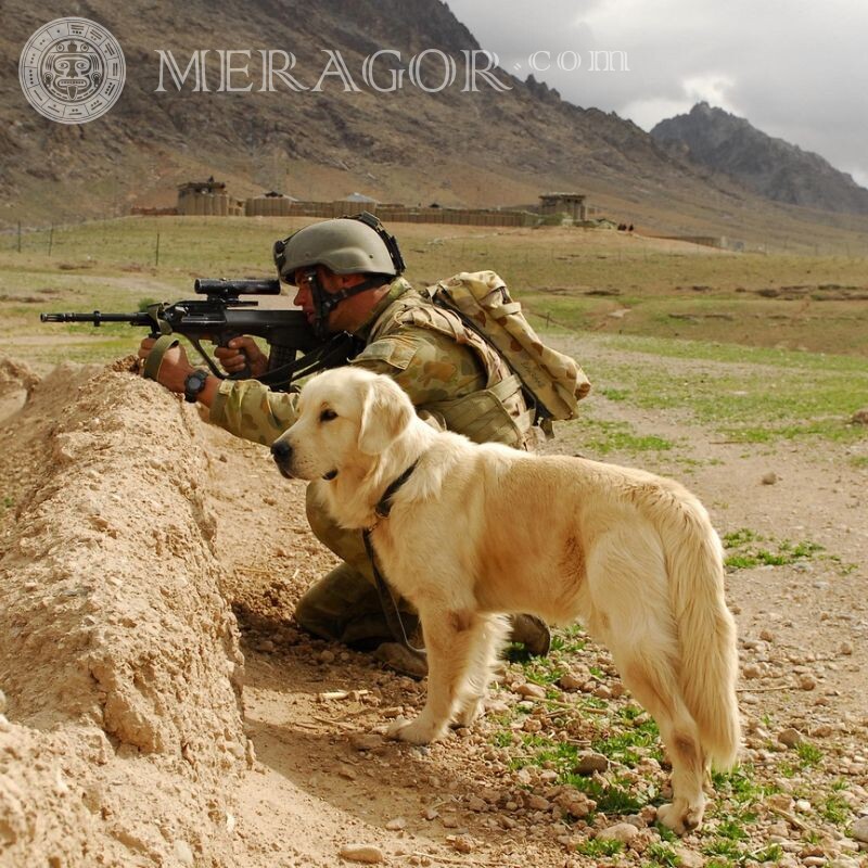 Foto de perro y soldado para avatar Con armas Todos los juegos Counter-Strike Standoff