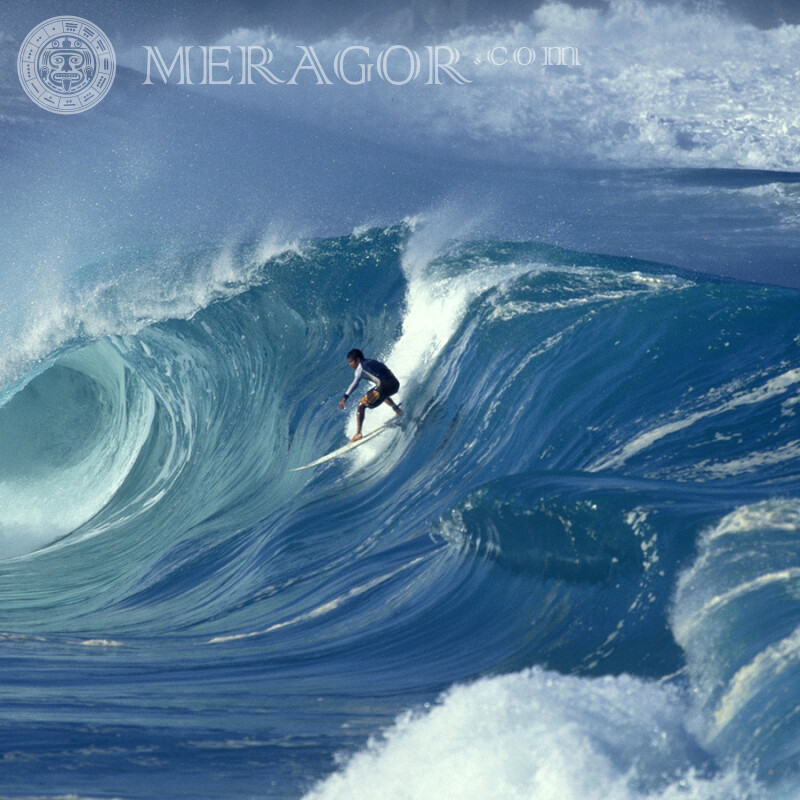 Planche à voile sur les vagues sur la photo de profil Surf, natation En mer Sportifs