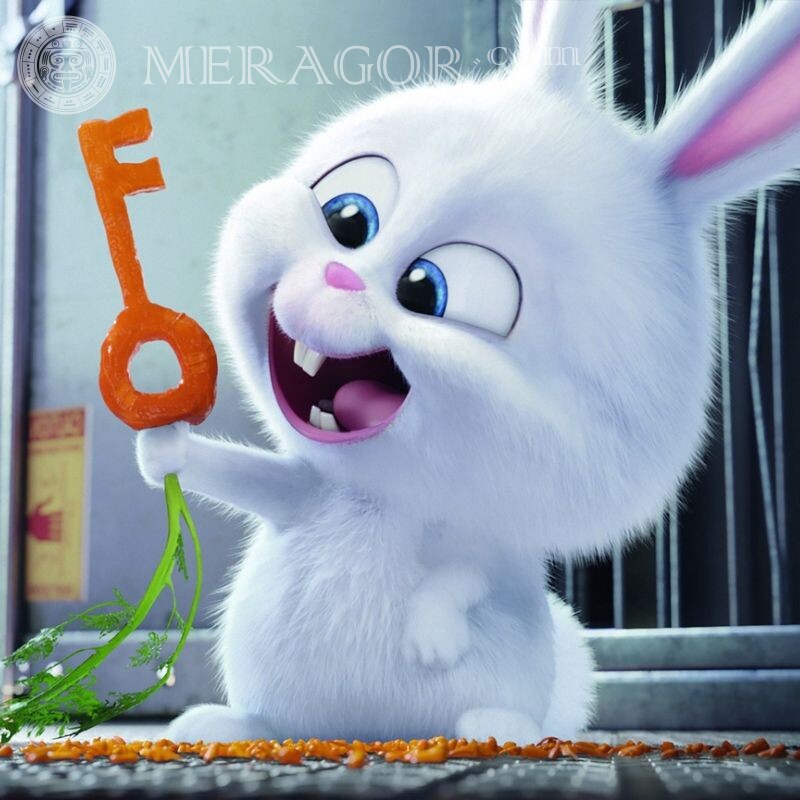 Kaninchen-Avatar Das geheime Leben der Haustiere Zeichentrickfilme Lustige Tiere