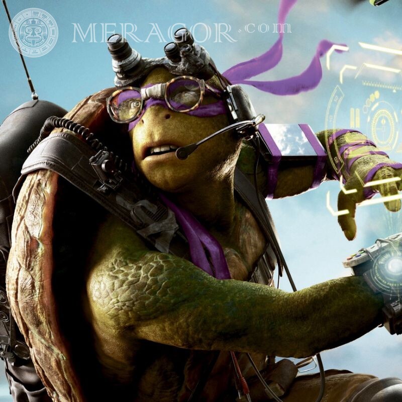 Donatello Teenager mutierte Ninja Schildkröten auf Avatar Zeichentrickfilme Aus den Filmen