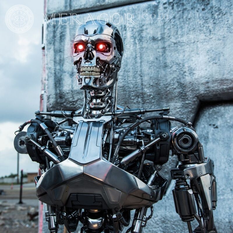 Robot de la película Terminator Genesis De las películas Robots