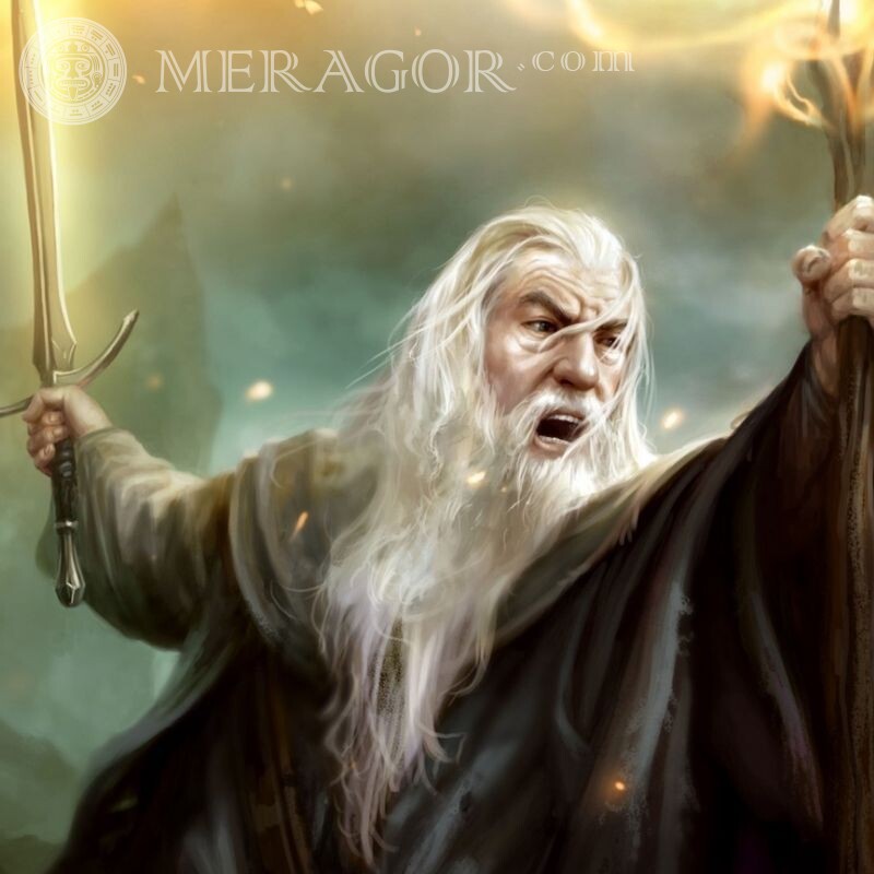 Gandalf for icon Lord of the Rings From films Men With weapon