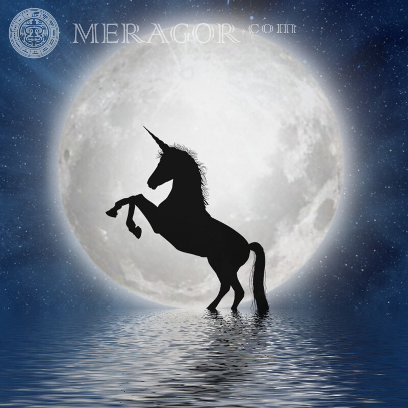 Єдиноріг в місячному світлі картинка  Коня Силует