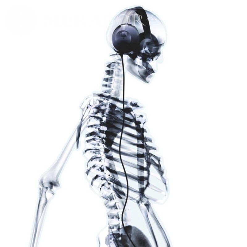 Squelette dans les écouteurs avatar drôle Avec les écouteurs Animé, dessin Noir et blanc