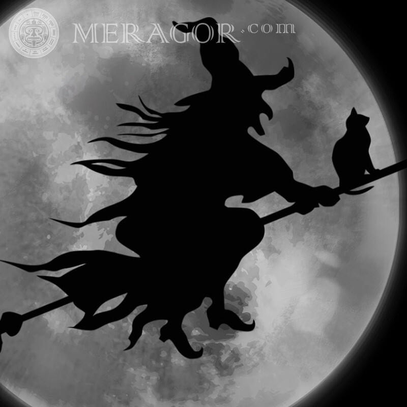Witch on a broomstick with a cat photo Holidays Funny Silhouette