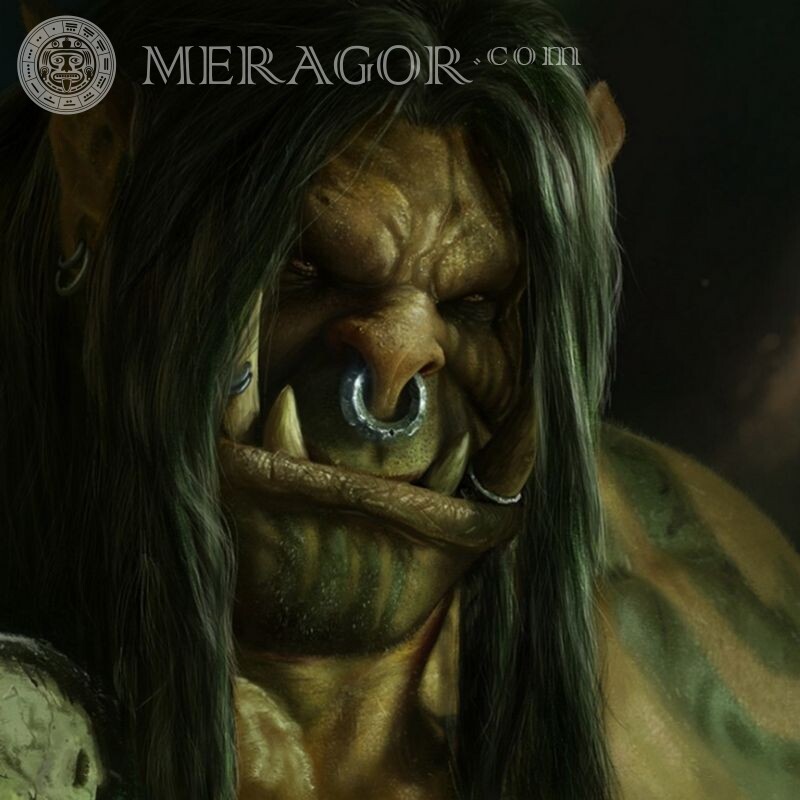 Grommash Hellscream en avatar Todos los juegos
