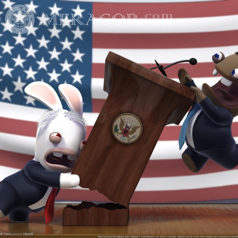 Ava engraçado com download da bandeira americana Humor Animais engraçados