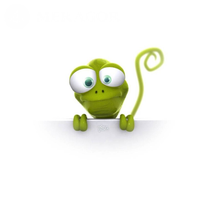 Мультяшний гекон картинка на аватарку Гумор Мультфільм Смішні тварини