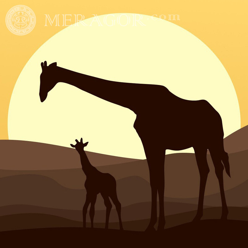 Drawn giraffes on the background of the sun avatar Other animals