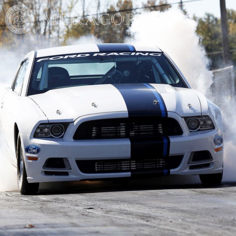 Ford Mustang Cobra Jet 2012